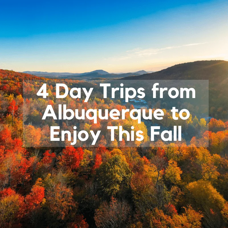 4 Day Trips from Albuquerque to Enjoy This Fall