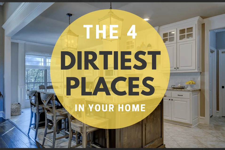 the four dirtiest places in your home logo