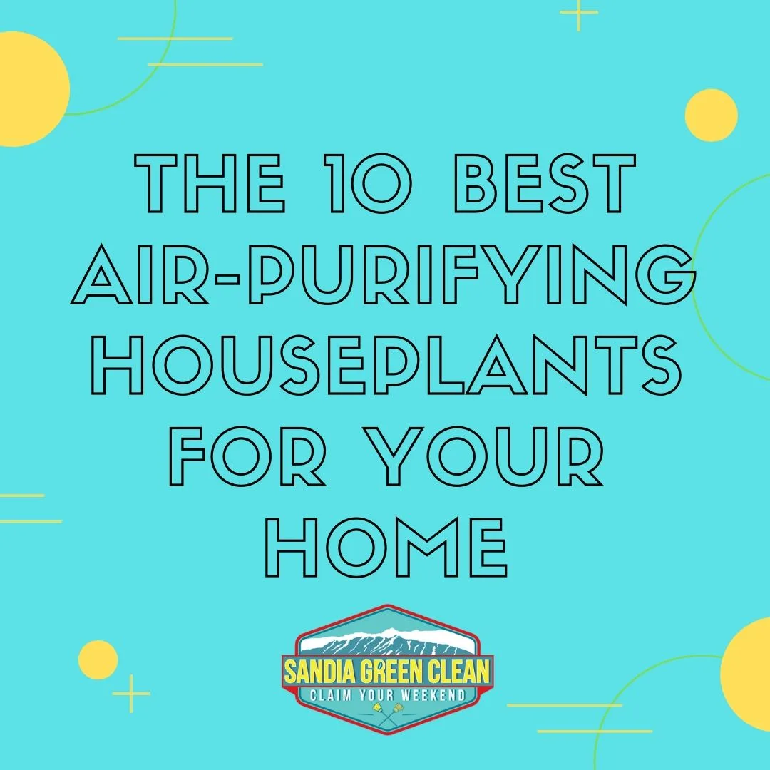 Green-Home-Essentials