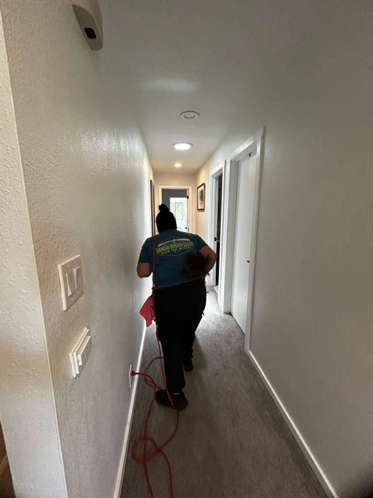 Eco-friendly green cleaning products used by Sandia Green Clean in Santa Fe