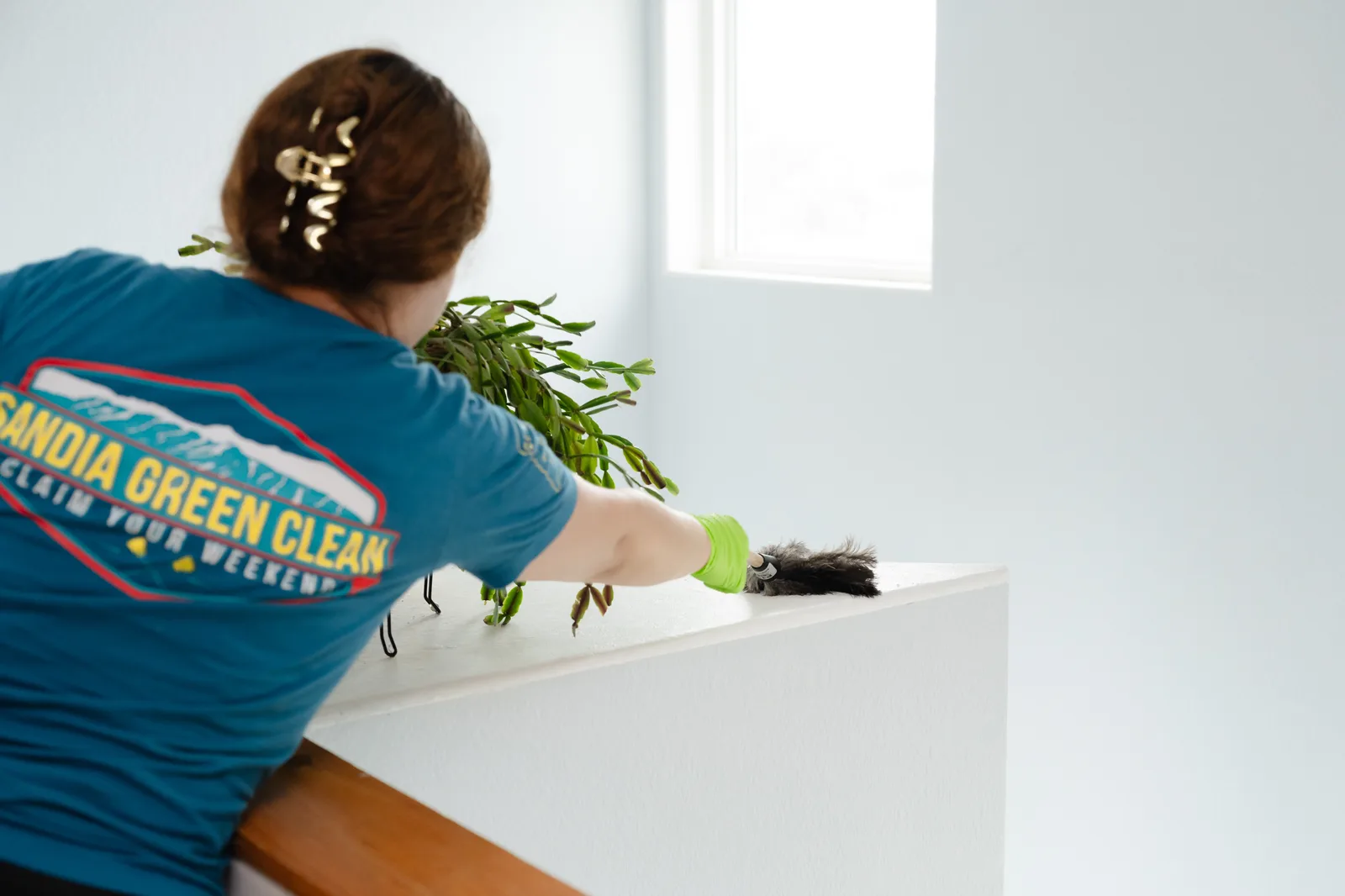 Sandia Green Clean cleaner dusting a ledge and houseplant