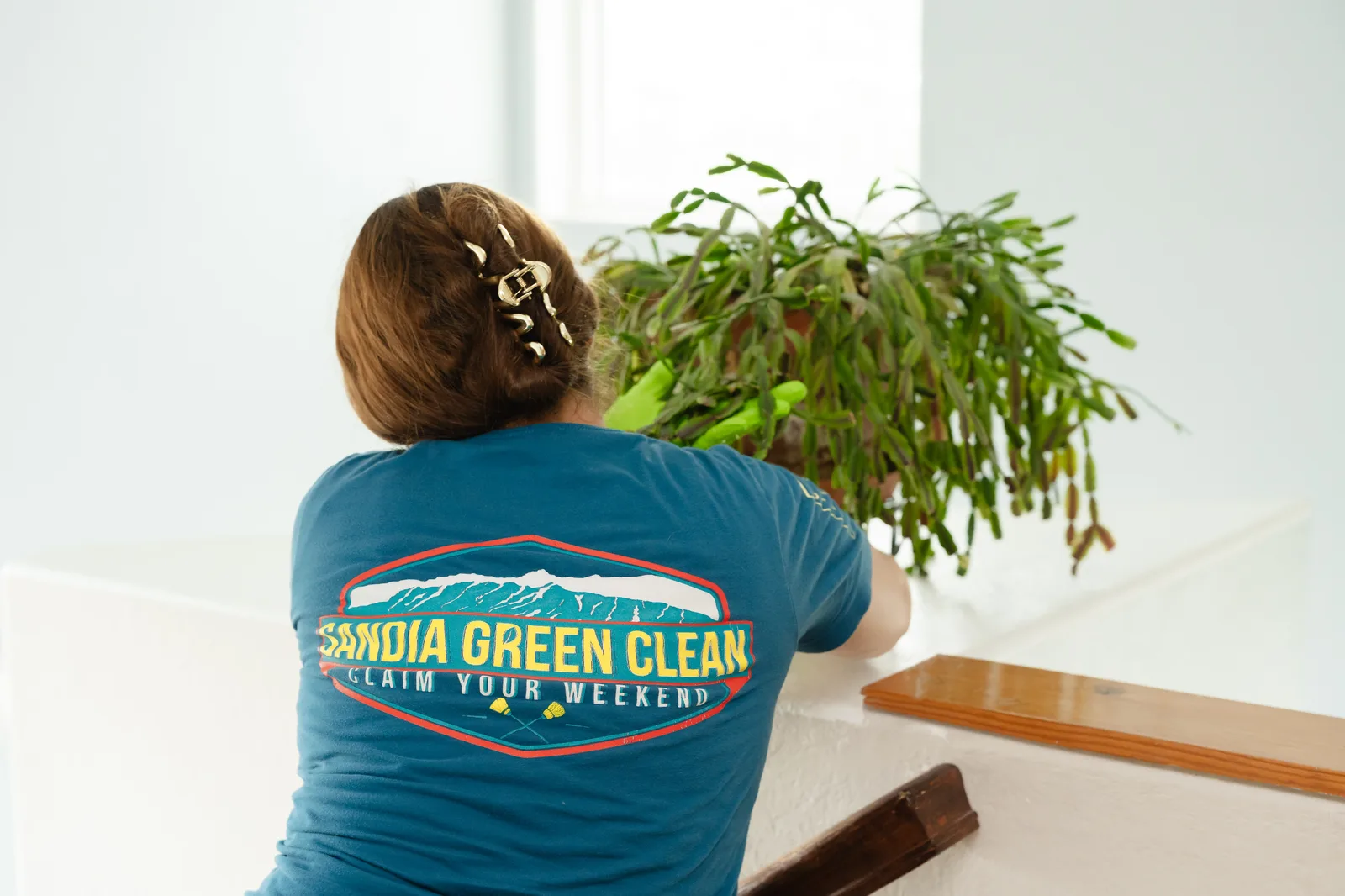 Sandia Green Clean team member dusting around a houseplant